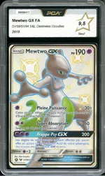 Auction visual on GCC