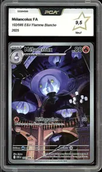 Auction visual on GCC