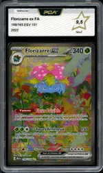 Auction visual on GCC