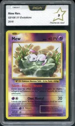 Auction visual on GCC