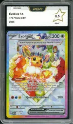 Auction visual on GCC