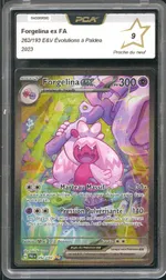 Auction visual on GCC