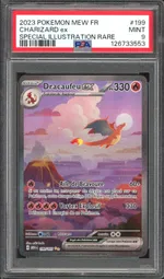 Auction visual on GCC