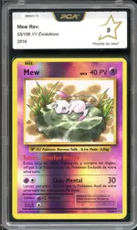 Auction visual on GCC