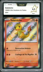 GCC marketplace card visual