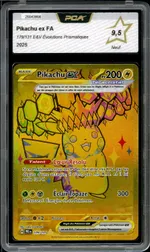 Auction visual on GCC