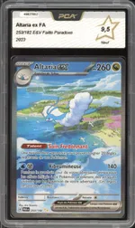 Auction visual on GCC