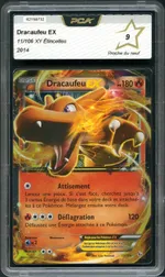 Auction visual on GCC