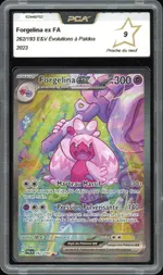 Auction visual on GCC