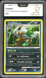 Auction visual on GCC