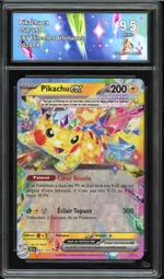 Auction visual on GCC