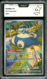 Auction visual on GCC