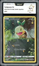 Auction visual on GCC