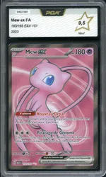 Auction visual on GCC