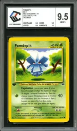 Auction visual on GCC