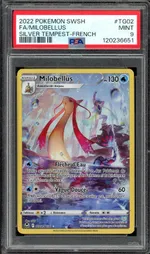 GCC marketplace card visual