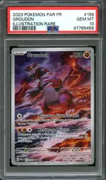 Auction visual on GCC