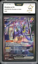 Auction visual on GCC