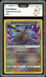 Auction visual on GCC