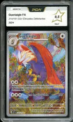 Auction visual on GCC