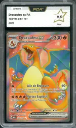 Auction visual on GCC