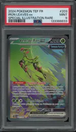 Auction visual on GCC
