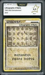 Auction visual on GCC