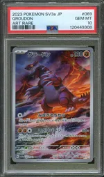 Auction visual on GCC