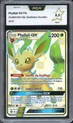 Auction visual on GCC