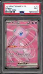 Auction visual on GCC