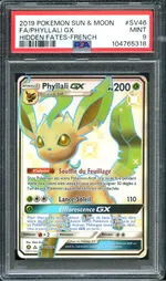 Auction visual on GCC