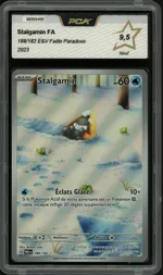 GCC marketplace card visual