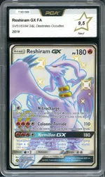 Auction visual on GCC