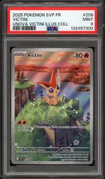 Auction visual on GCC