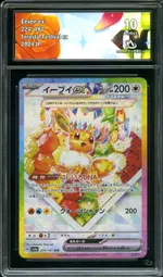 Auction visual on GCC