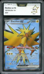 Auction visual on GCC