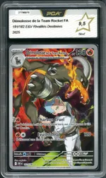 Auction visual on GCC