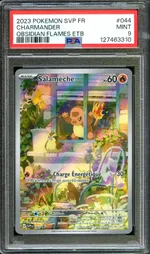 Auction visual on GCC