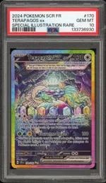 Auction visual on GCC