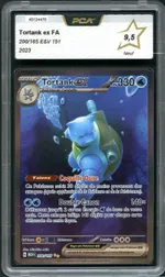 Auction visual on GCC