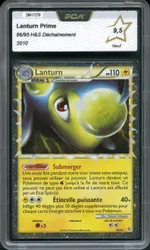 Auction visual on GCC