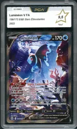 Auction visual on GCC