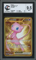 Auction visual on GCC