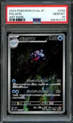 Auction visual on GCC