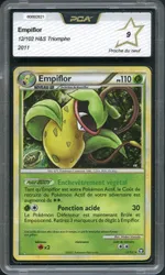 Auction visual on GCC