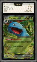 Auction visual on GCC
