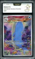 Auction visual on GCC