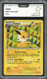 Auction visual on GCC