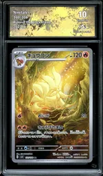 Auction visual on GCC