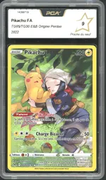 Auction visual on GCC